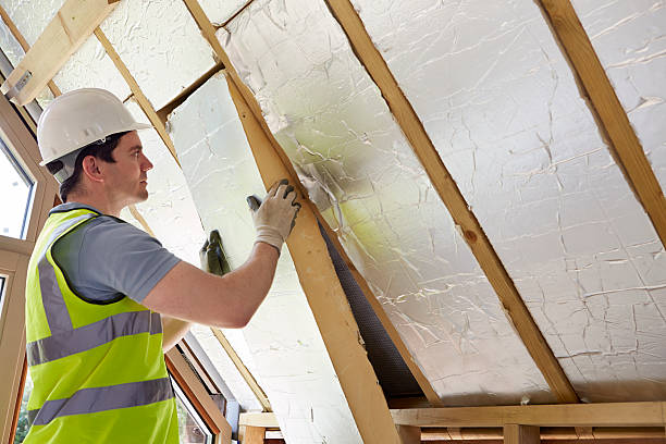 Best Insulation Maintenance and Repair in Louisville, TN