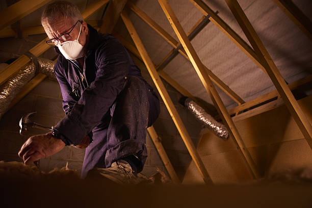 Best Residential Insulation in Louisville, TN