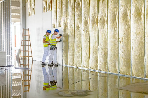 Best Blown-in Insulation in Louisville, TN